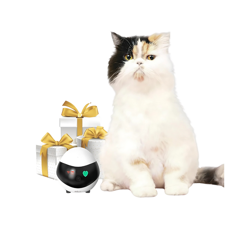 Enabot Ebo Air 2 Robô Câmera 2k de Segurança Sem Fio - BR Metaverso