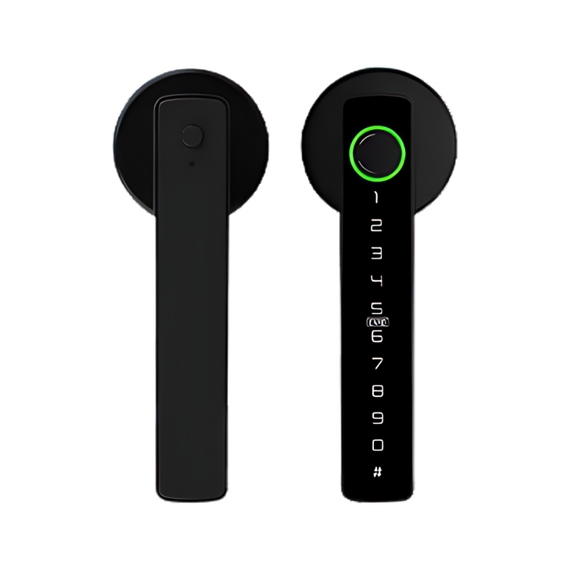 Fechadura de Porta Inteligente Raykube Wifi - BR Metaverso