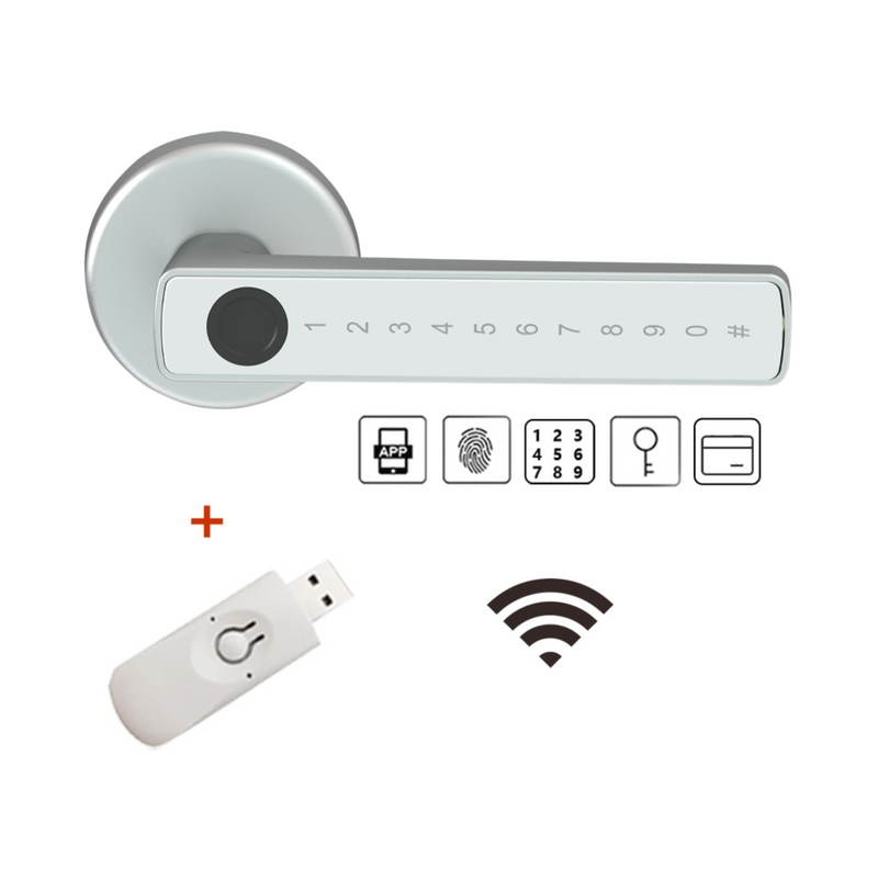 Fechadura de Porta Inteligente Raykube Wifi - BR Metaverso