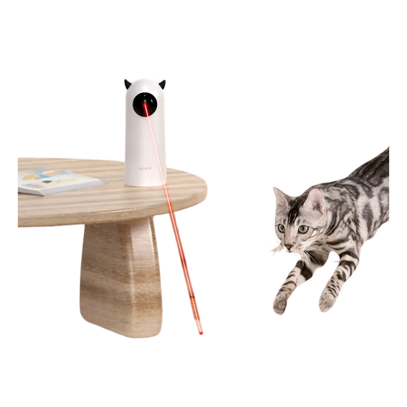 Lazer Pet Interativo Inteligente Rojeco - BR Metaverso