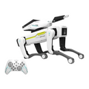 Teeggi Elétrico RC Cão Robô Inteligente Educativo - BR Metaverso